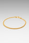 B213_Curb Bracelet M Gold_01