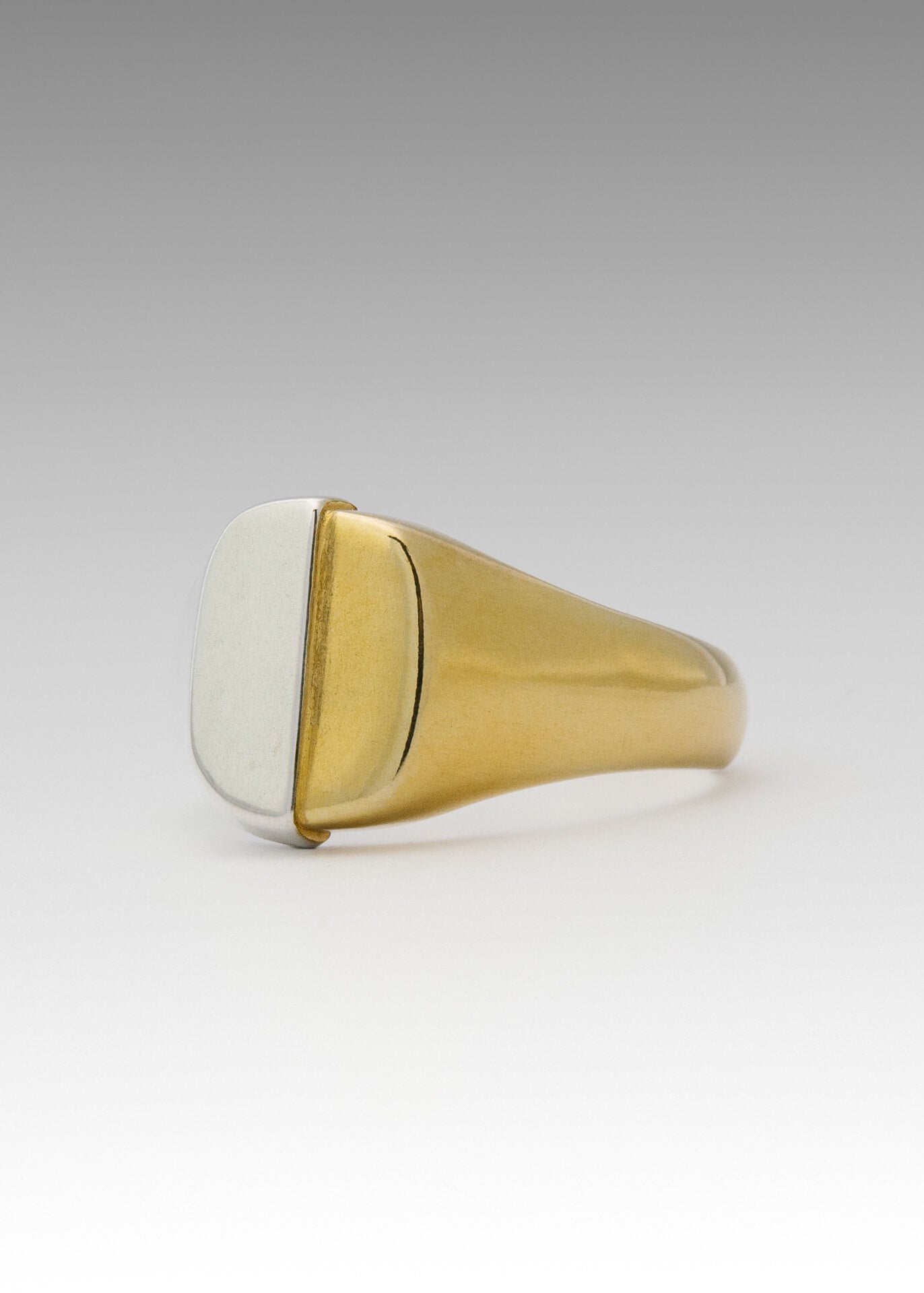 B213_Dual Natured Signet Ring_L_01