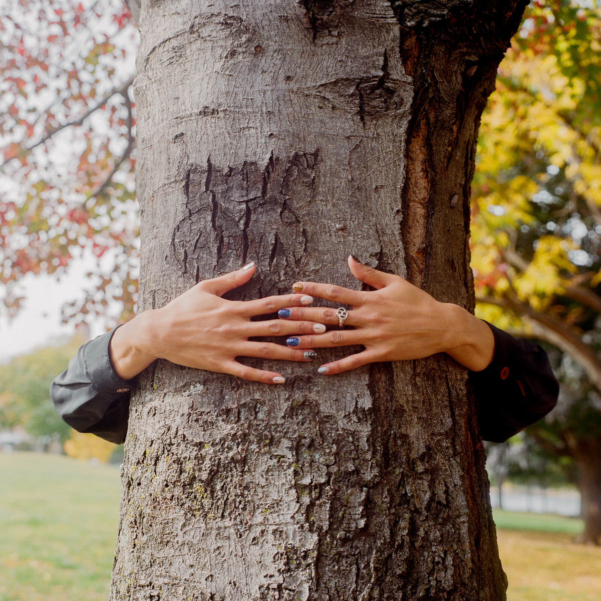 B213_AW22 D'heygere/Panconesi Editorial - Brooklyn, NY_08