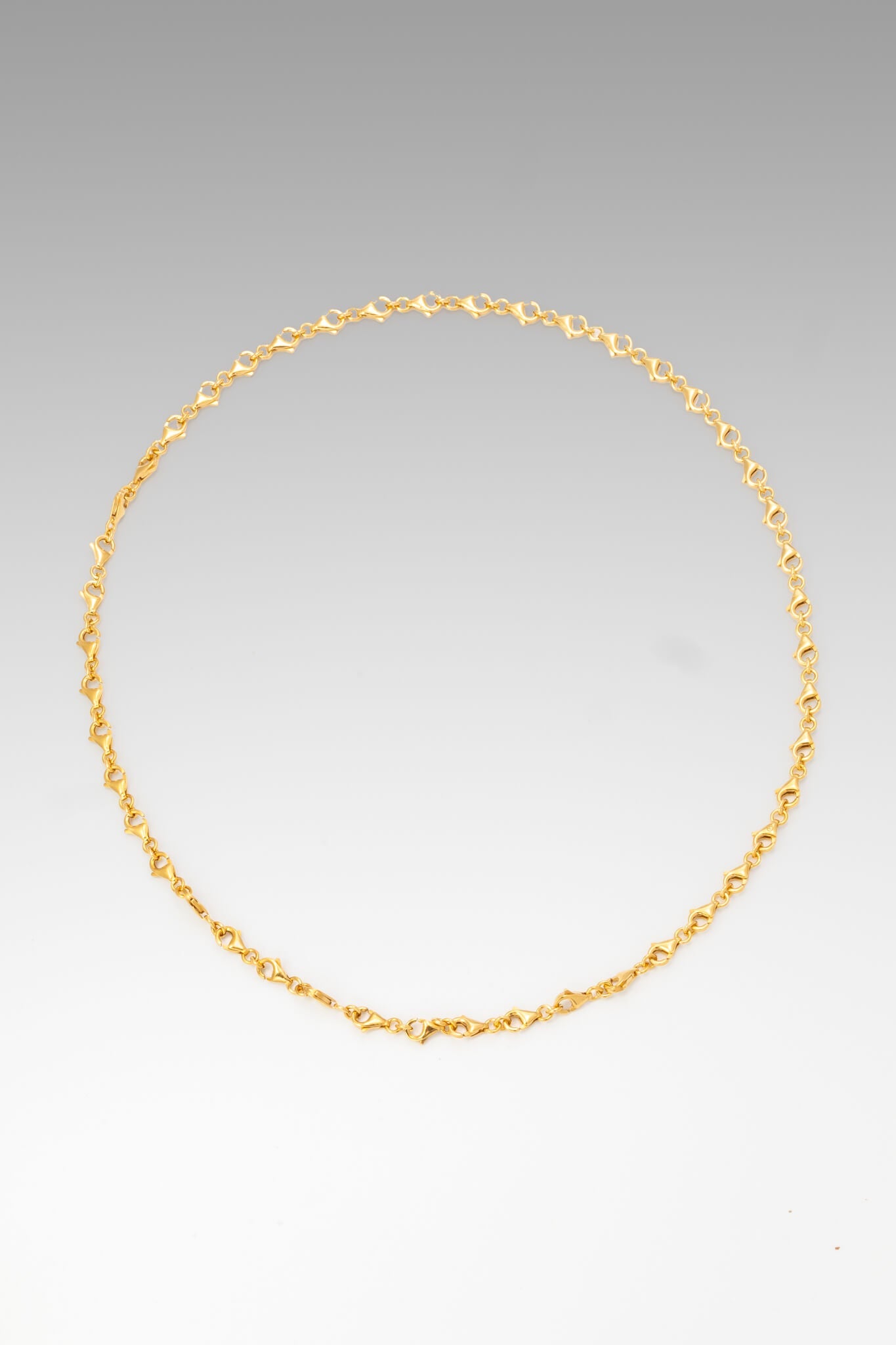 B213_Clasp Necklace - Gold_L_01