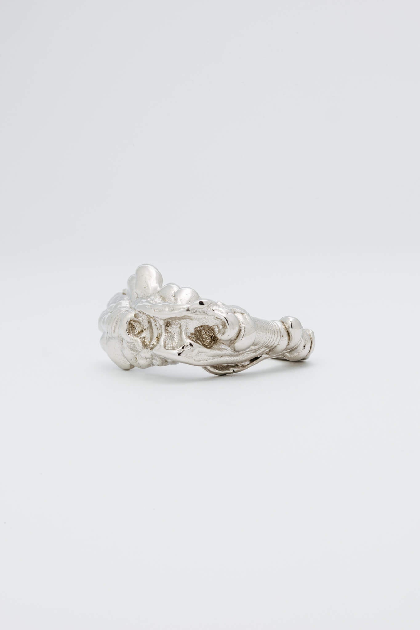 B213_Aphro Ring_L_04