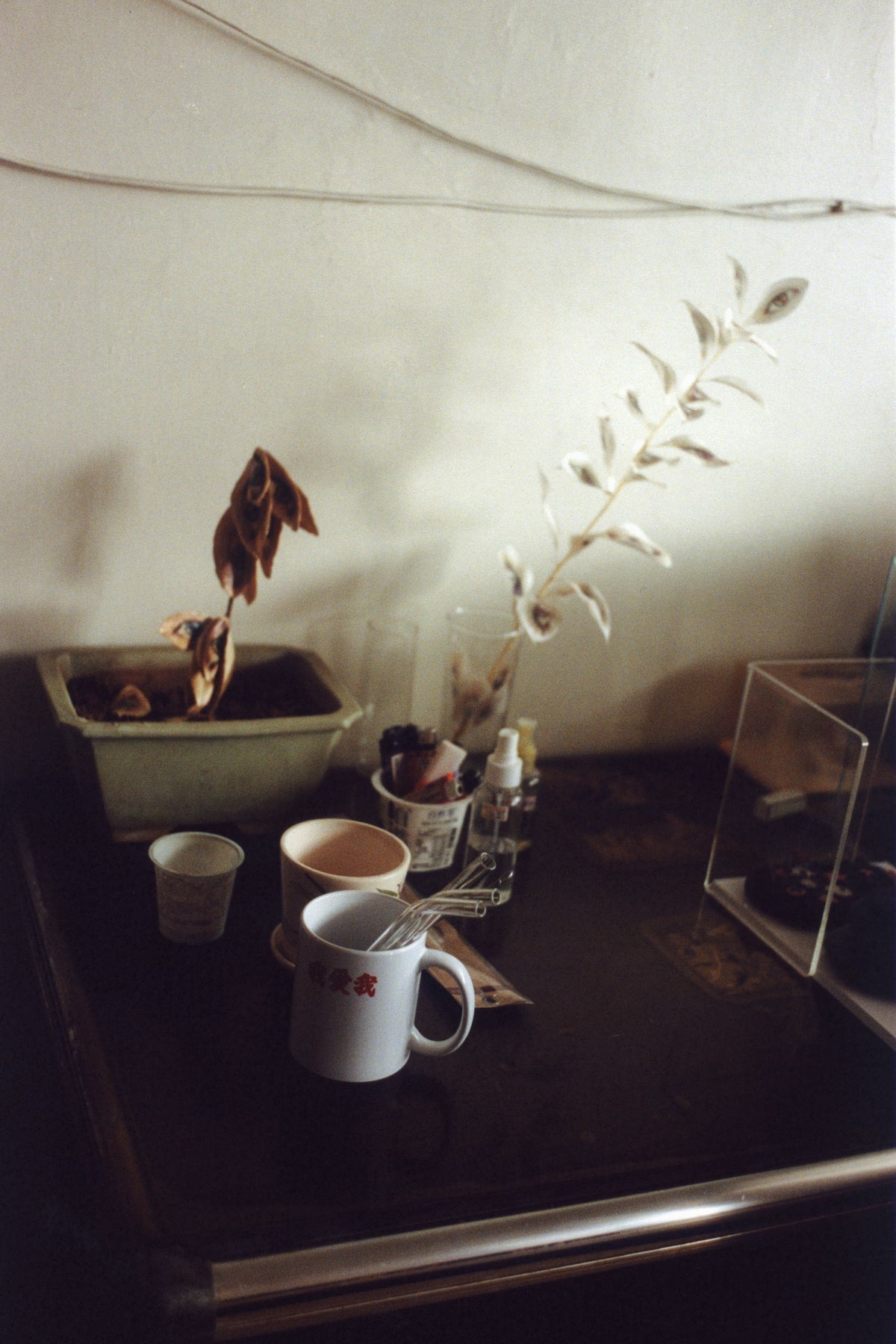 B213_The double life of John Yuyi_09