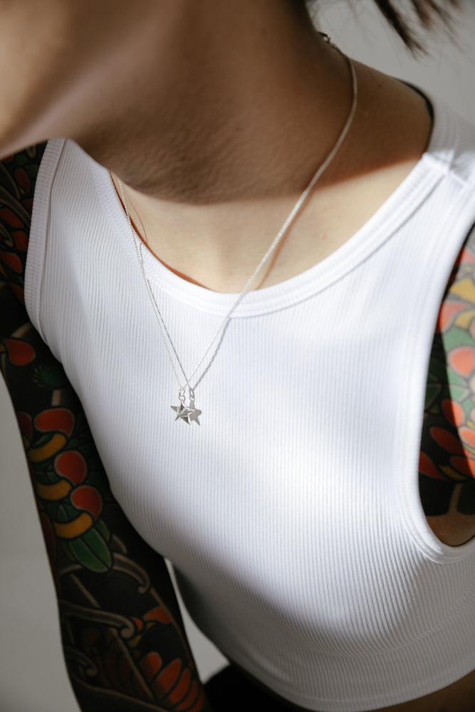 B213_Star Charm_L_03