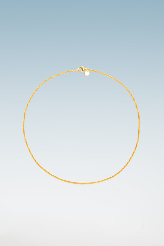 B213_Curb Chain Slim Gold_L_01