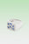 The Rose Garden Signet - Blue