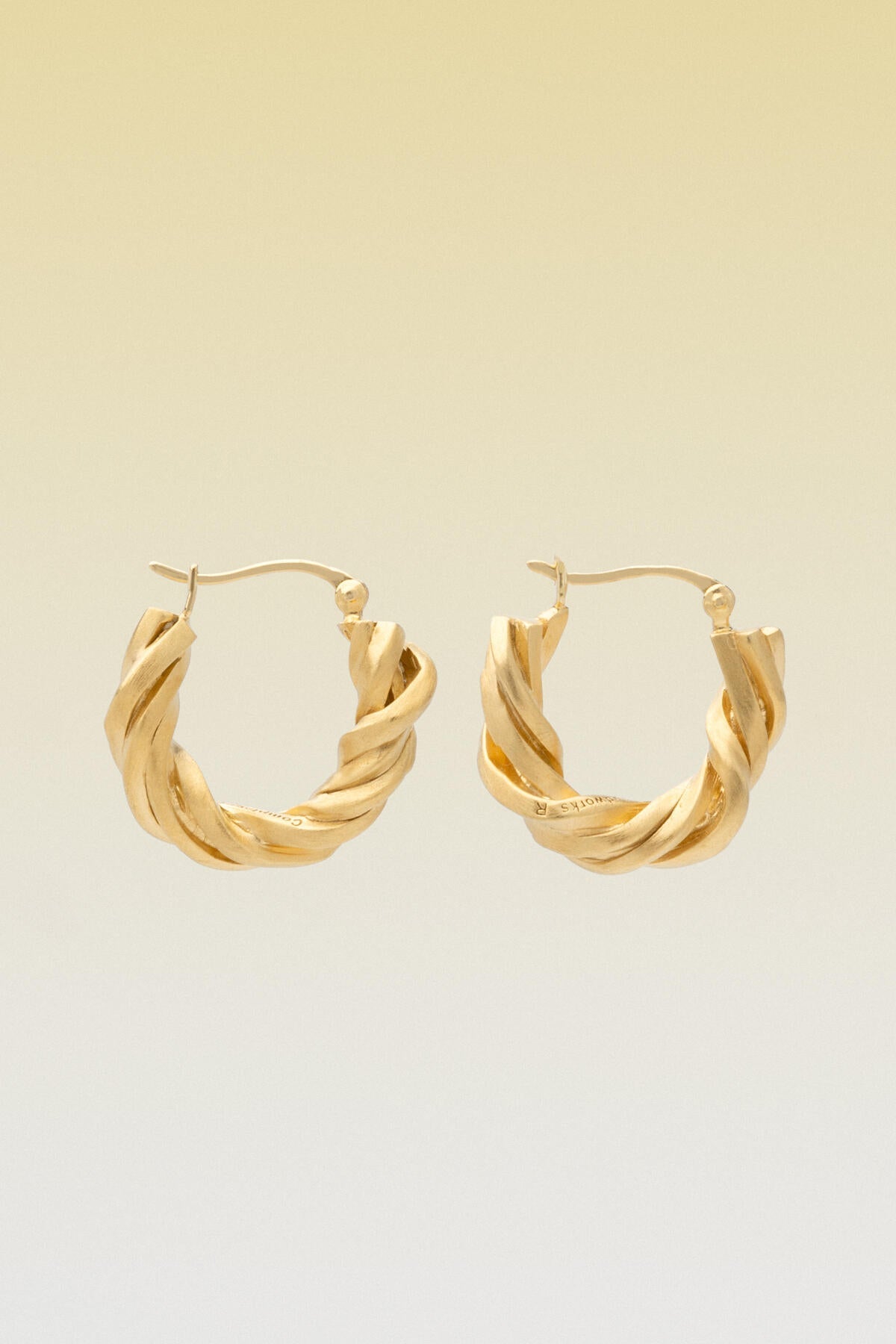B213_Deep State Earrings_L_01