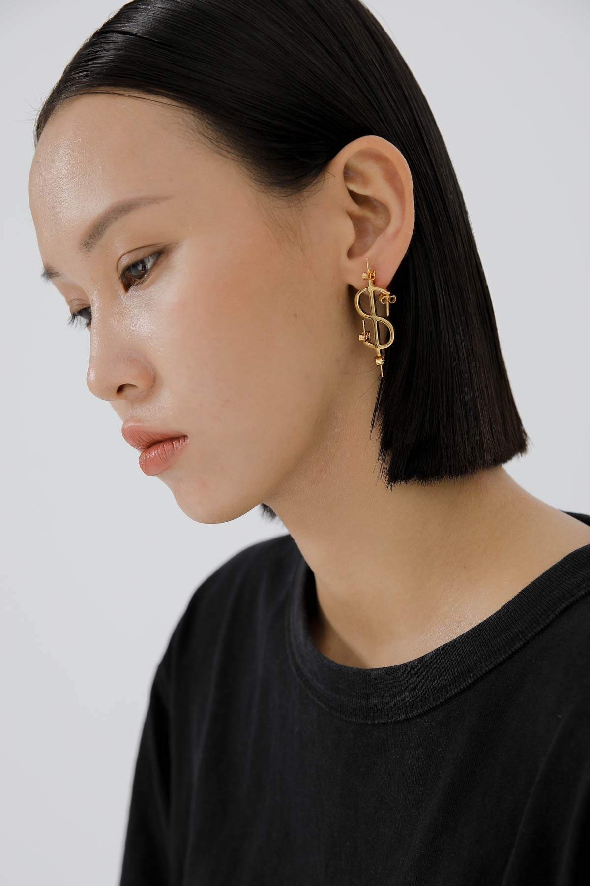 B213_Currency Earring Dollar_L_01