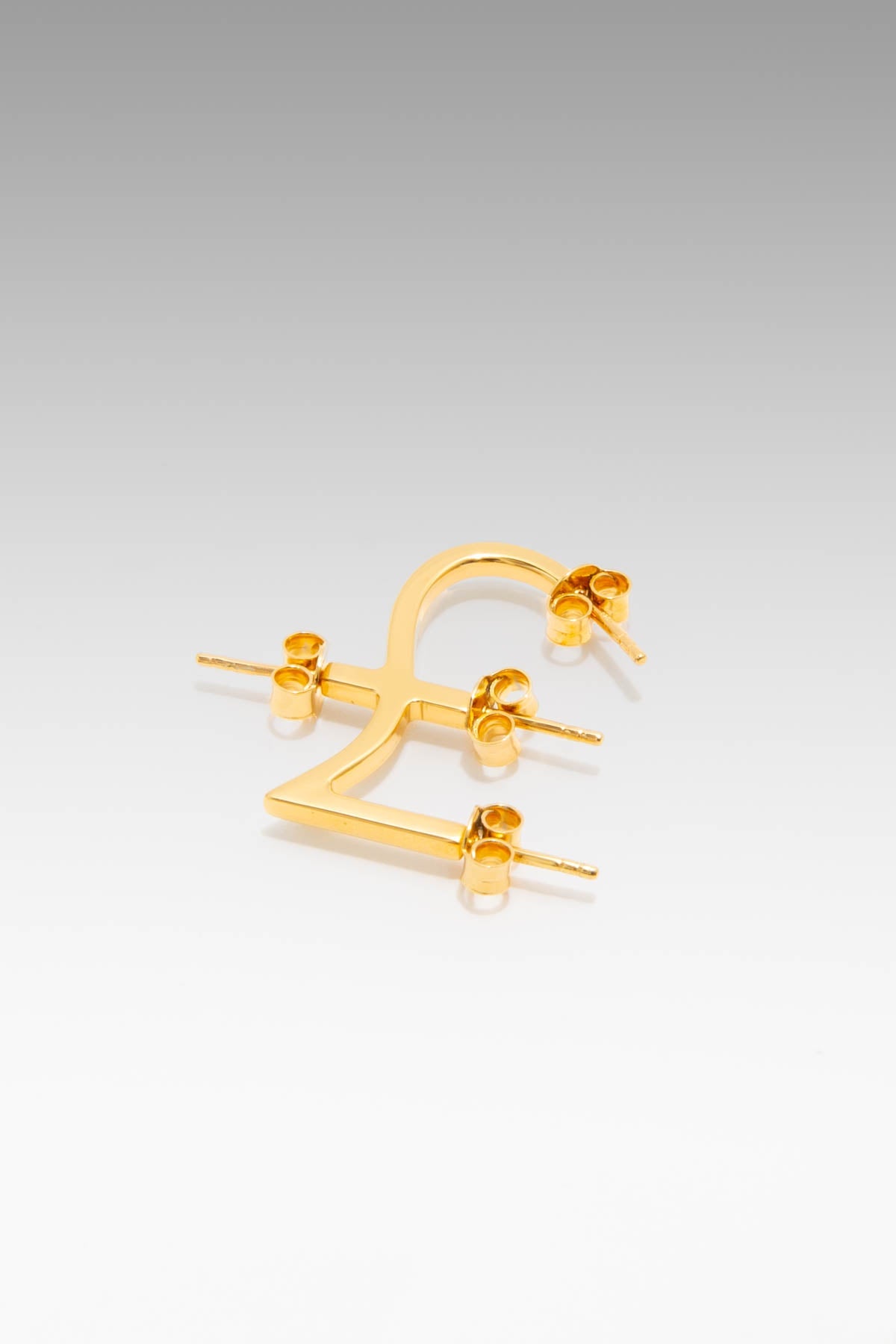 B213_Currency Earring Pound_L_01