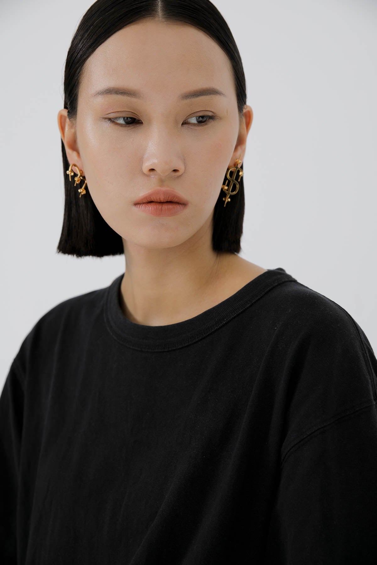 B213_Currency Earring Dollar_L_02