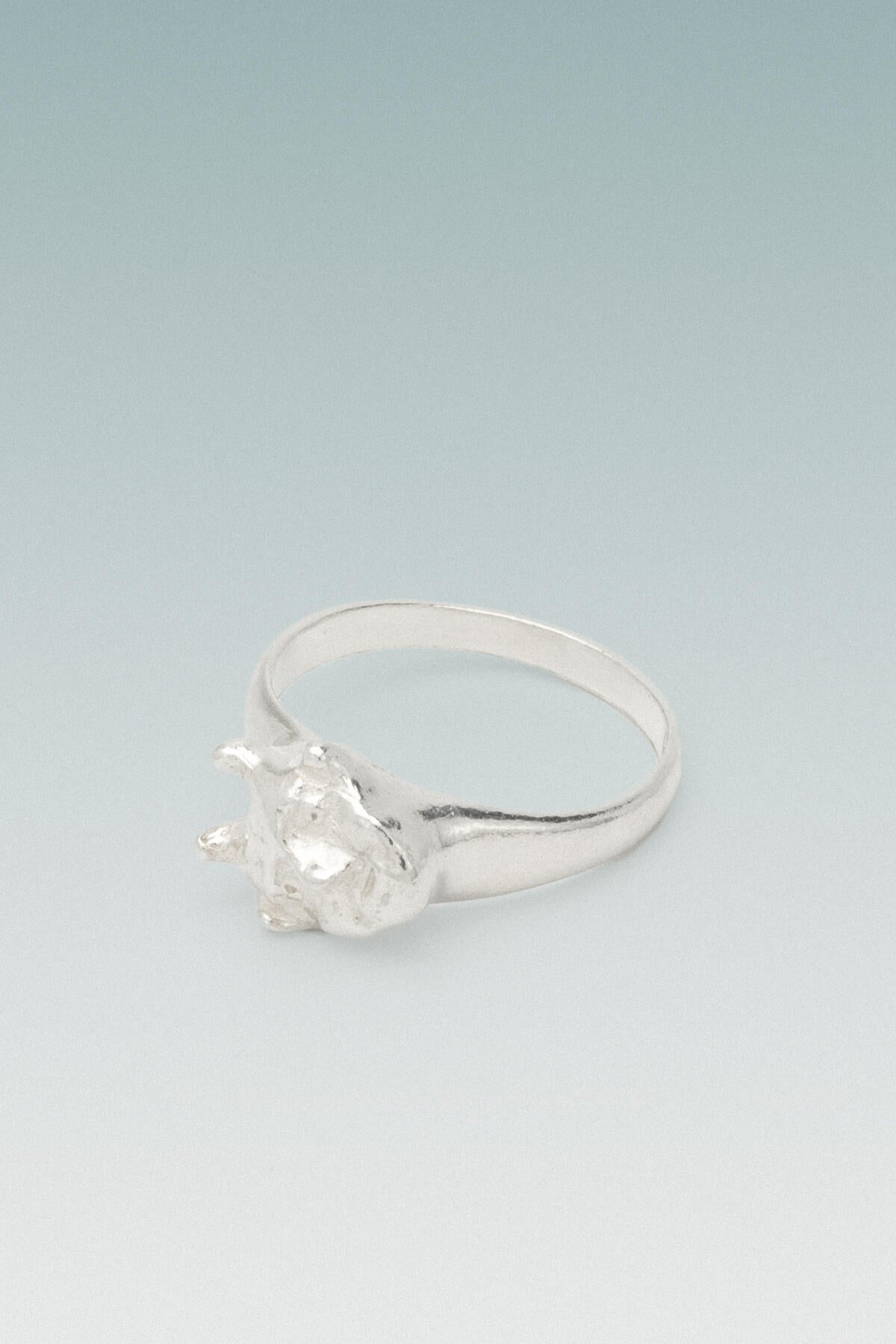 B213_Goblin Ring_L_01